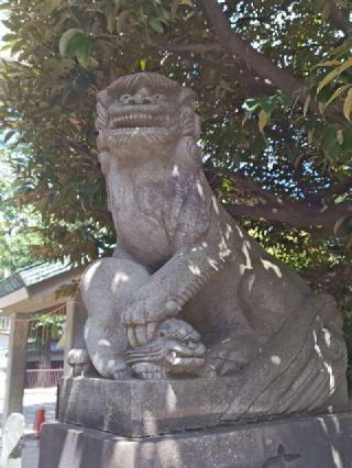 池袋氷川神社の参拝記録(はじめさん)