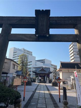 高田氷川神社の参拝記録(⛩️🐍🐢まめ🐢🐍⛩️さん)