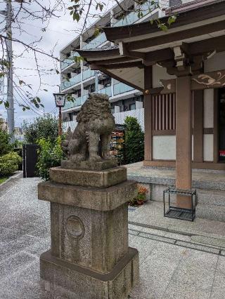 大國神社の参拝記録(はくすみさん)