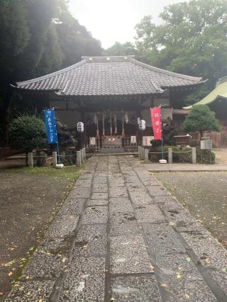 平塚神社の参拝記録(しえるさん)