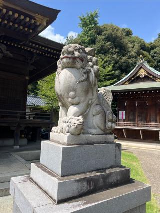 赤羽八幡神社の参拝記録(⛩️🐍🐢まめ🐢🐍⛩️さん)