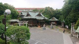 赤羽八幡神社の参拝記録(おがおが1262さん)