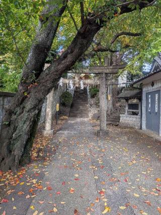 田端八幡神社の参拝記録(はくすみさん)