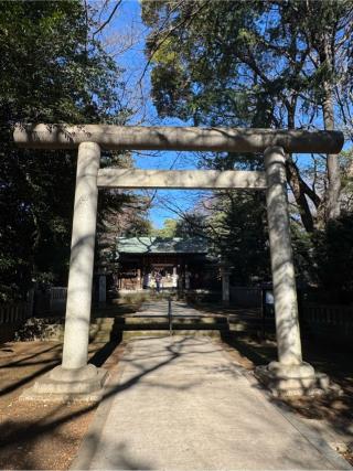 氷川神社の参拝記録(こーちんさん)