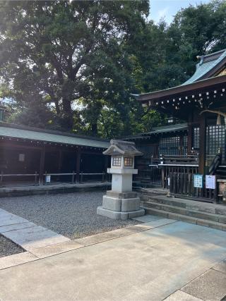 氷川神社の参拝記録(⛩️🐍🐢まめ🐢🐍⛩️さん)