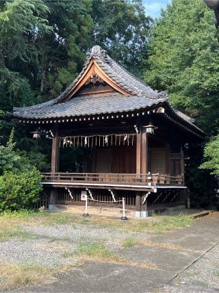 氷川神社の参拝記録(⛩️🐍🐢まめ🐢🐍⛩️さん)