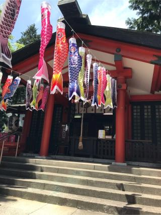 熊野神社（熊野町熊野神社）の参拝記録(千葉犬🐶さん)