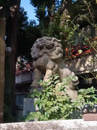 熊野神社（熊野町熊野神社）の参拝記録(はじめさん)