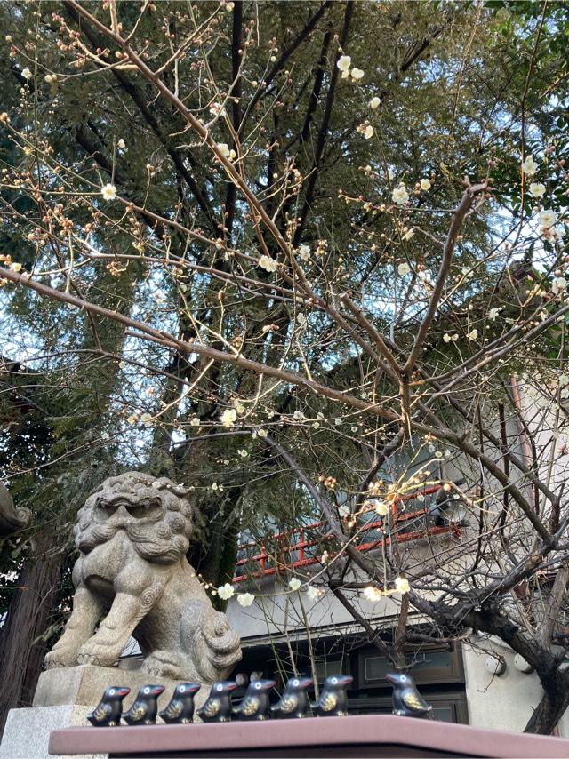 熊野神社（熊野町熊野神社）の参拝記録(kiさん)