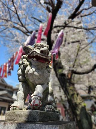 熊野神社（熊野町熊野神社）の参拝記録(たけちゃ～ん⚾さん)