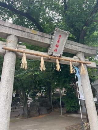 子易神社の参拝記録(⛩️🐍🐢まめ🐢🐍⛩️さん)