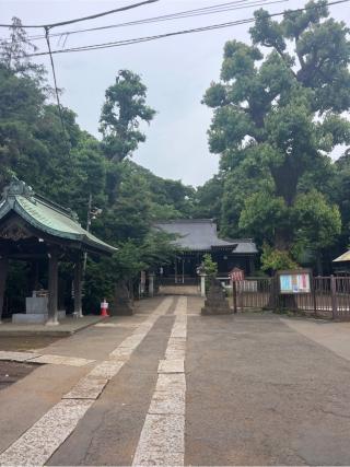 城山熊野神社の参拝記録(⛩️🎠🐢まめ🐢🎠⛩️さん)