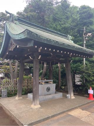 城山熊野神社の参拝記録(⛩️🎠🐢まめ🐢🎠⛩️さん)