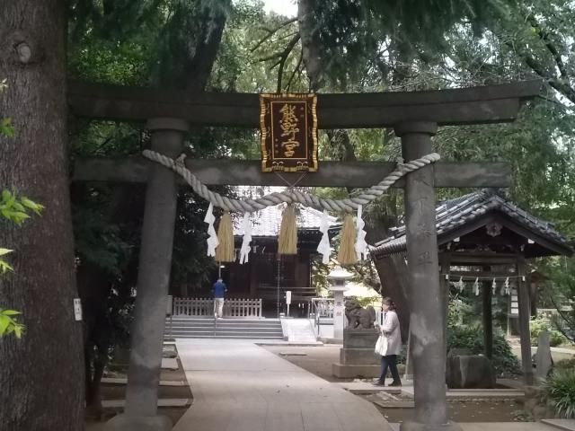 東京都板橋区前野町3-38-3 前野熊野神社(東熊野神社)の写真2