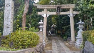 東新町氷川神社の参拝記録(まっちゃんさん)