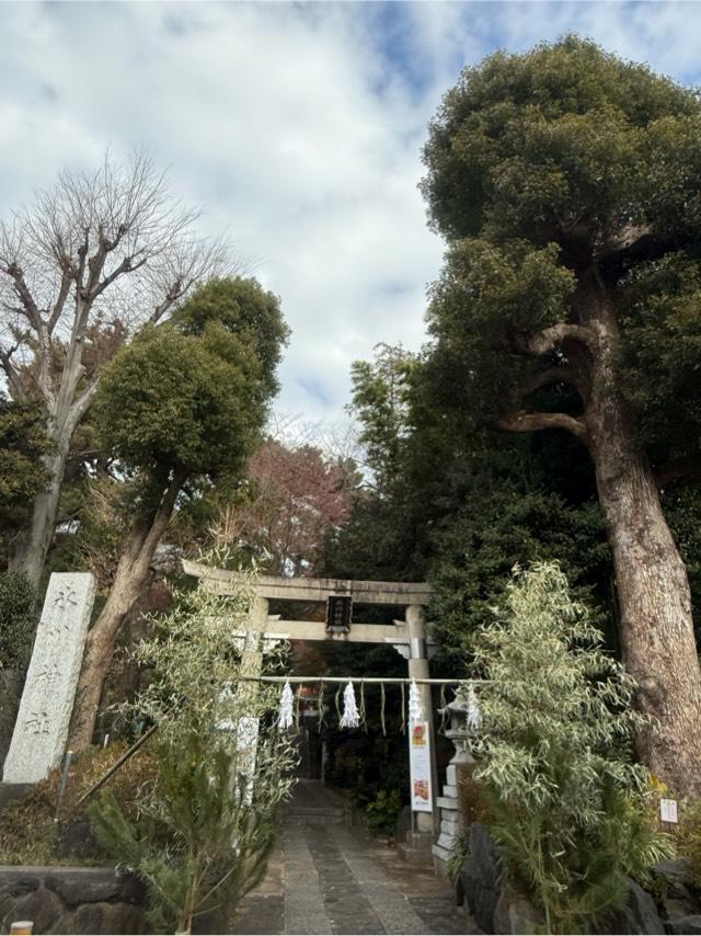 東新町氷川神社の参拝記録7