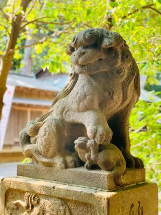 東新町氷川神社の参拝記録(shikigami_hさん)