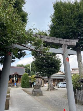 徳丸北野神社の参拝記録(⛩️🐍🐢まめ🐢🐍⛩️さん)
