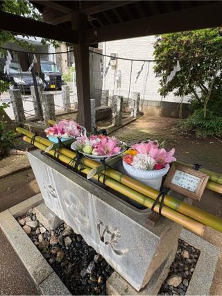 徳丸北野神社の参拝記録(色部優兎さん)