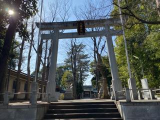 石神井氷川神社の参拝記録(明介さん)