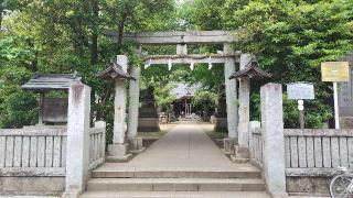石神井氷川神社の参拝記録(オトギリルさん)