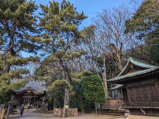 石神井氷川神社の参拝記録(おがおが1262さん)