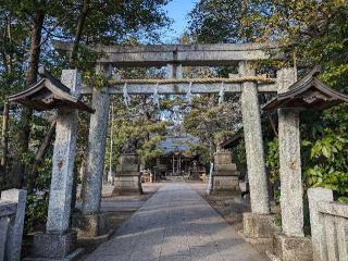 石神井氷川神社の参拝記録(おがおが1262さん)