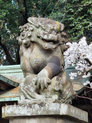 石神井氷川神社の参拝記録(たけちゃ～ん⚾さん)