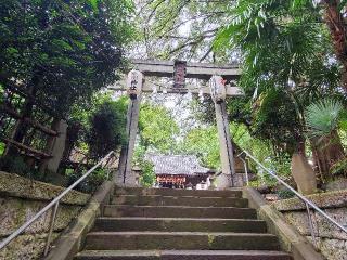 氷川神社の参拝記録(tayohさん)