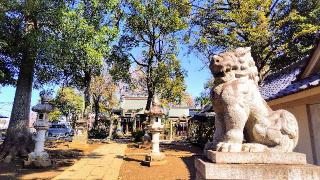 豊玉氷川神社の参拝記録(オトギリルさん)