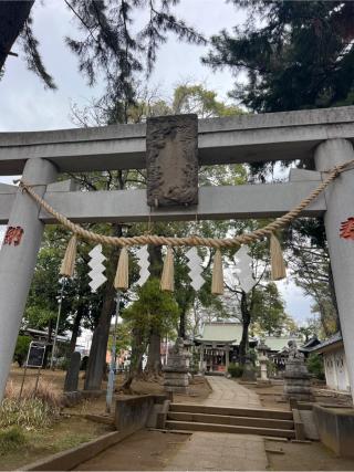 豊玉氷川神社の参拝記録(⛩️🐍🐢まめ🐢🐍⛩️さん)