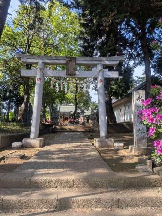 豊玉氷川神社の参拝記録(はくすみさん)