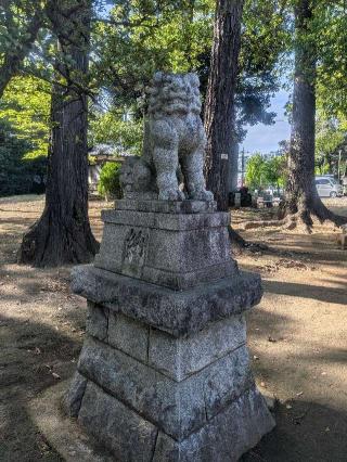 豊玉氷川神社の参拝記録(はくすみさん)