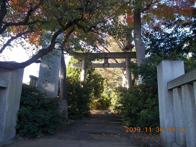 東京都練馬区関町北3-34-32 天祖若宮八幡宮の写真3