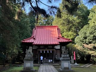 天祖若宮八幡宮の参拝記録(もっちゃんさん)