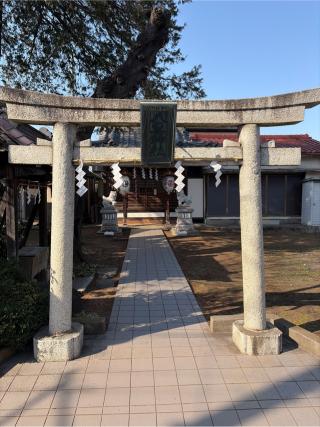 小竹町八雲神社の参拝記録(せきちゃんさん)