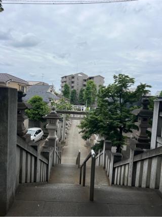 大泉氷川神社の参拝記録(⛩️🐍🐢まめ🐢🐍⛩️さん)