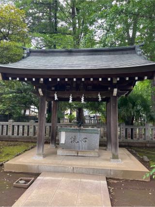大泉氷川神社の参拝記録(⛩️🐍🐢まめ🐢🐍⛩️さん)