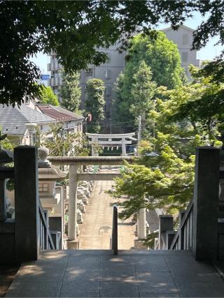 大泉氷川神社の参拝記録(こうさん)