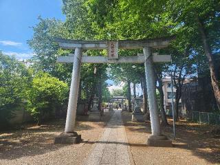 大泉氷川神社の参拝記録(サヨナラ王子さん)