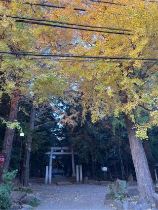 土支田八幡宮の参拝記録(せきちゃんさん)