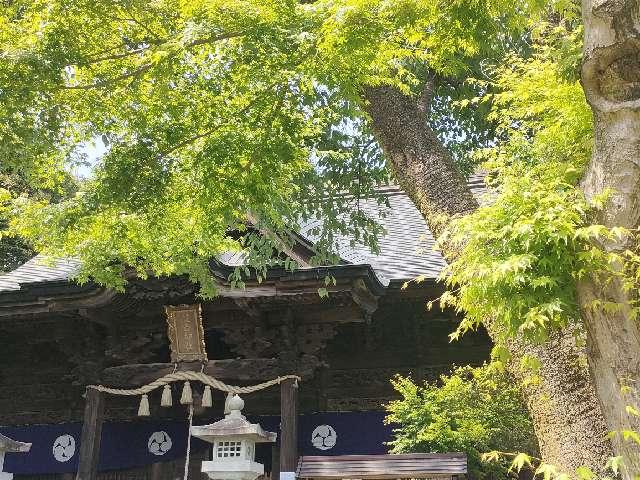 住吉神社の参拝記録7