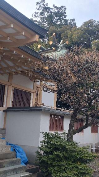 御嶽神社（新町御嶽神社）の参拝記録(ステイさん)