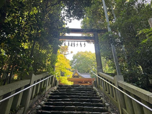 阿蘇神社の参拝記録3