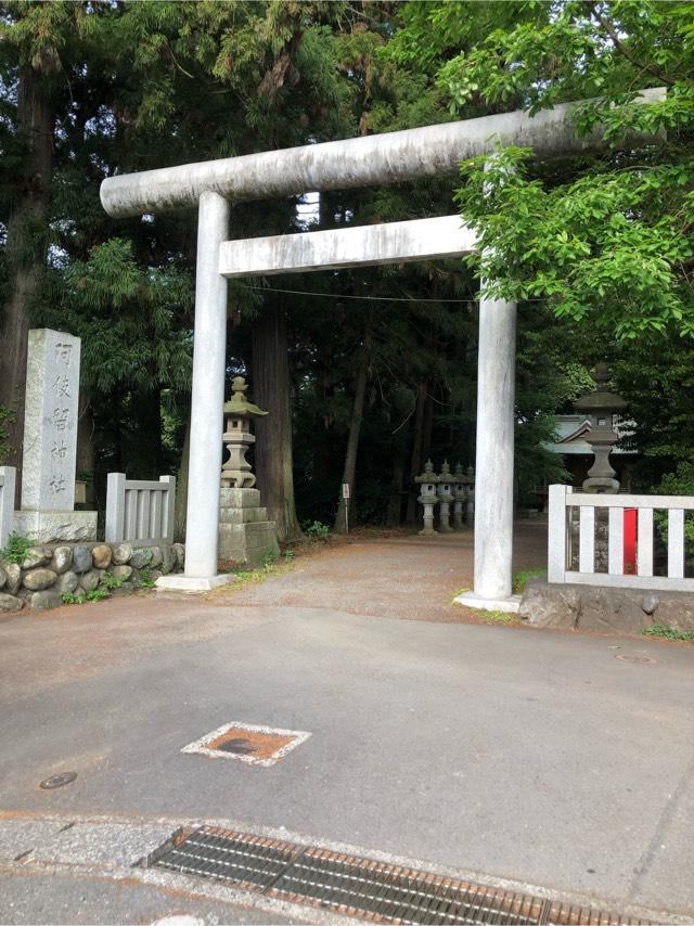 阿伎留神社の参拝記録10