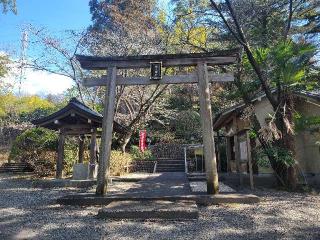 稲足神社の参拝記録(まっきーさん)