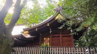 子安神社の参拝記録(オトギリルさん)