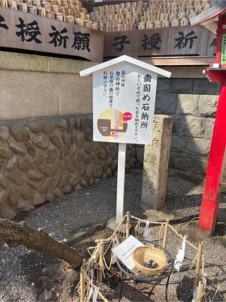 子安神社の参拝記録(⛩️🐉🐢まめ🐢🐉⛩️さん)