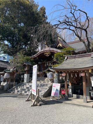 子安神社の参拝記録(⛩️🐉🐢まめ🐢🐉⛩️さん)