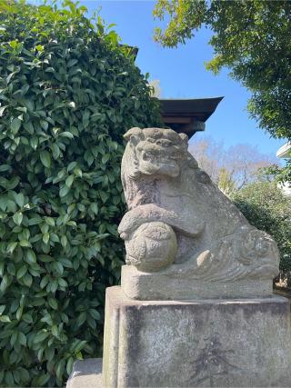 日枝神社の参拝記録(⛩️🎠🐢まめ🐢🎠⛩️さん)